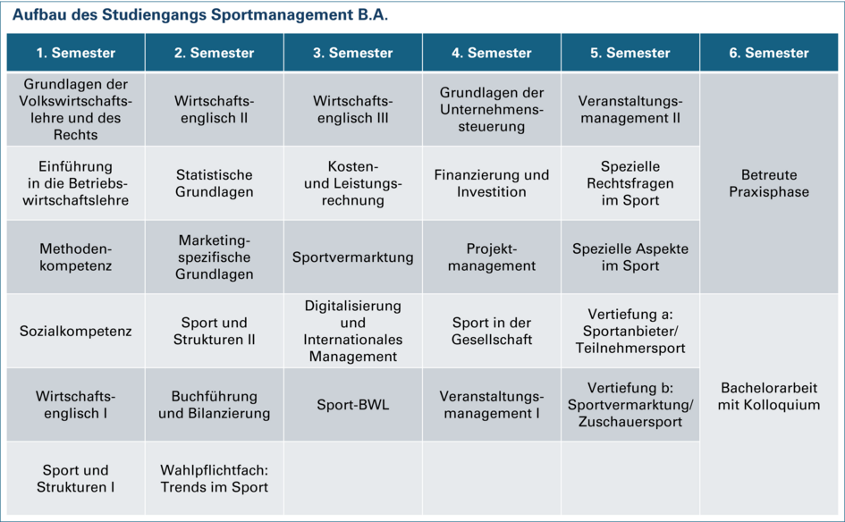 Grafik Aufbau Studiengang Sportmanagement